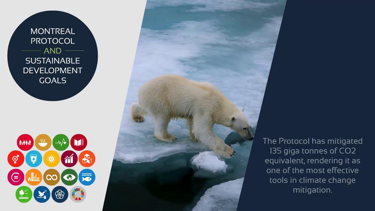 Montreal Protocol and  the SDGs